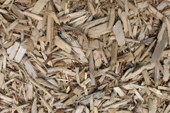 biomass boilers Asselby